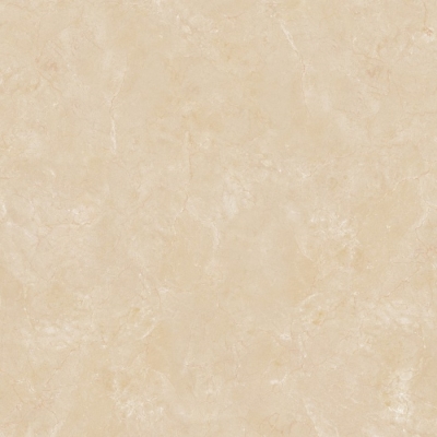 Gạch Viglacera 60x60 B 6005