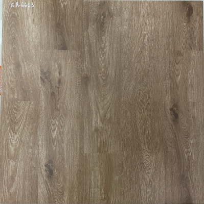 Gạch Viglacera 60x60 KR 6603