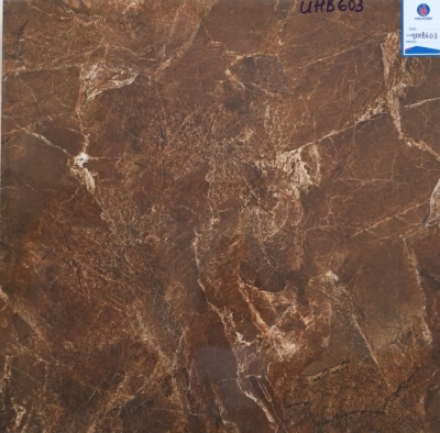 Gạch Viglacera 60x60 UHB 603